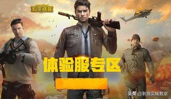 胖哥爆料和平精英视频,和平精英幕后精彩瞬间大曝光！  第2张