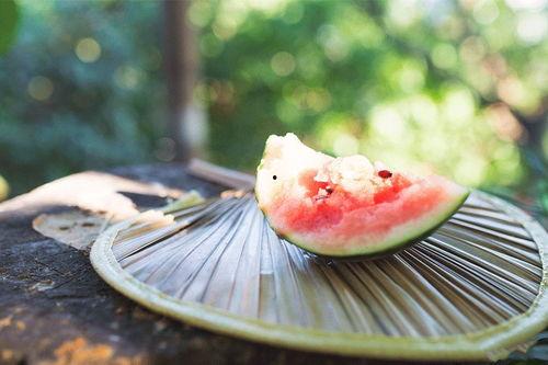 免费吃瓜入口直达 第1张 免费吃瓜入口直达 第1张