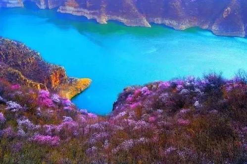 黄河三峡爆料事件视频全过程,视频全程揭秘惊人真相  第3张